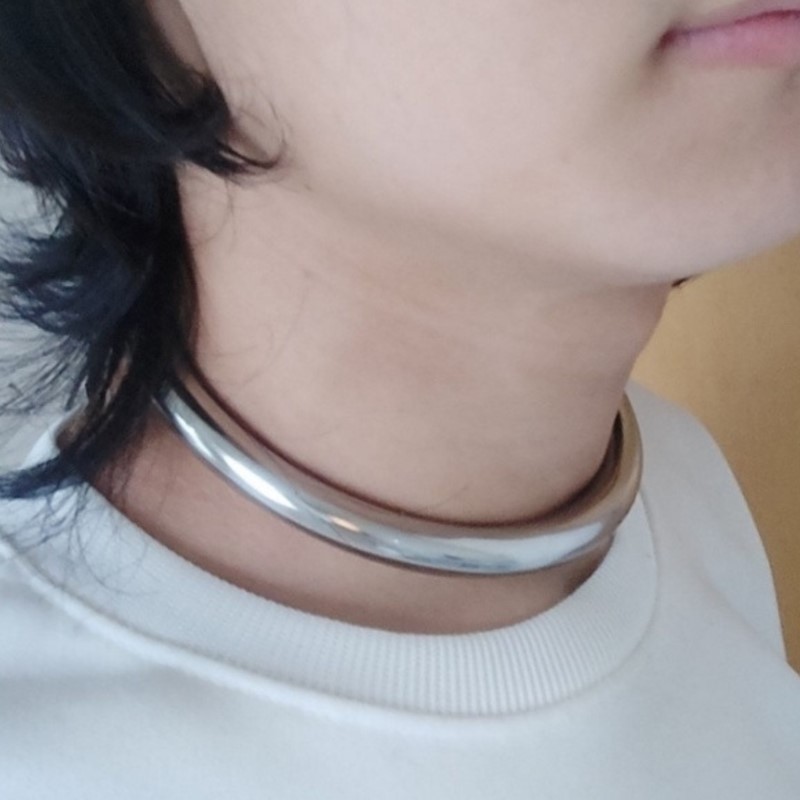 Stainless Steel Choker With D- - огляд і ціна Party Games Couple